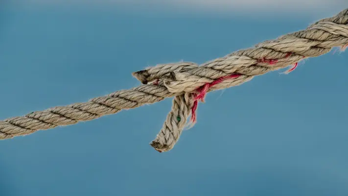Link Building